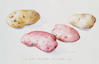 Estudio de Patatas, 1993